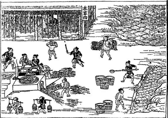 1.jpg 好色先生视频