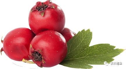 26.jpg 好色先生视频