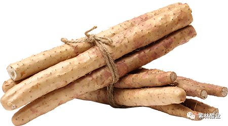 28.jpg 好色先生视频